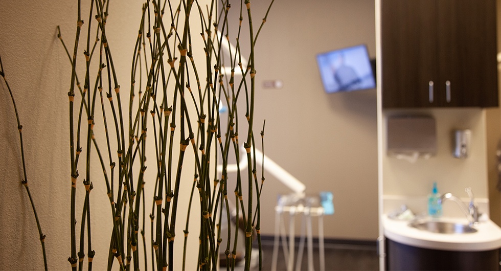 Decorative plant in dental office hallway