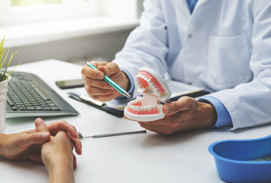 Dentist showing patient model teeth